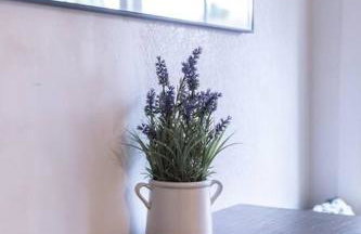 Quiet Home Near SFO with Backyard / BBQ - Foto 7