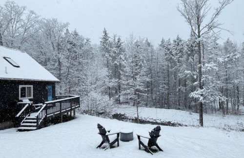 Serene Retreat on a Stream - Photo 14