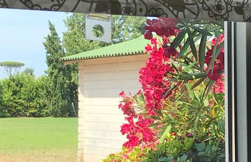 Podere Venanzio - Foto 56