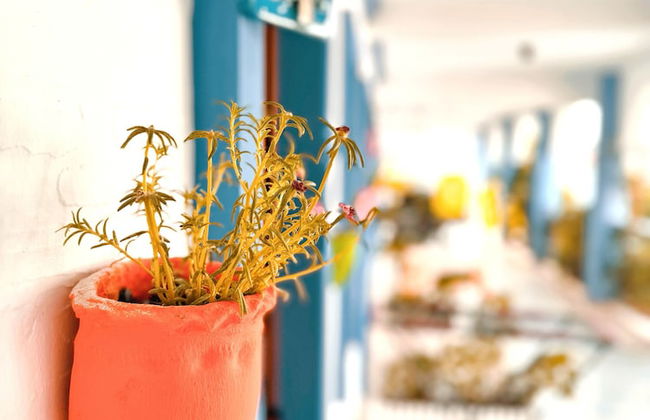 Tas Apart - Photo 47