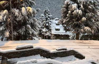 Baqueira321 Ubicación Privilegiada. - Foto 3