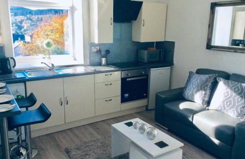 DUNOON - TOWN CENTRE HOLIDAY HOME APARTMENT - Foto 19