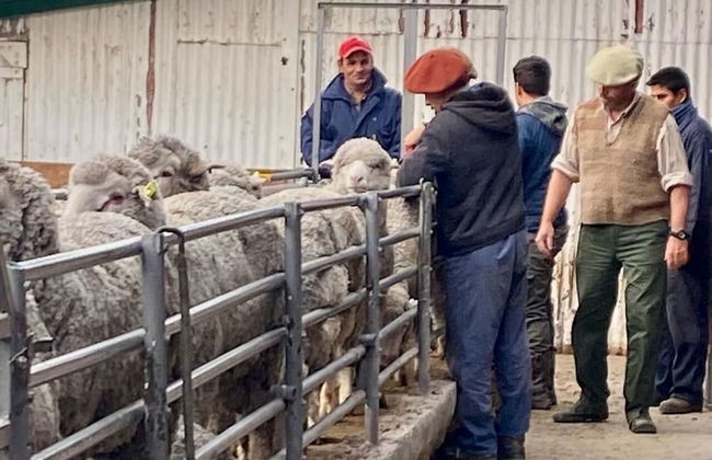 Estancia Monte Dinero - Photo 47