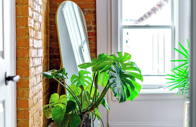 The Urbn Jungle - Foto 8