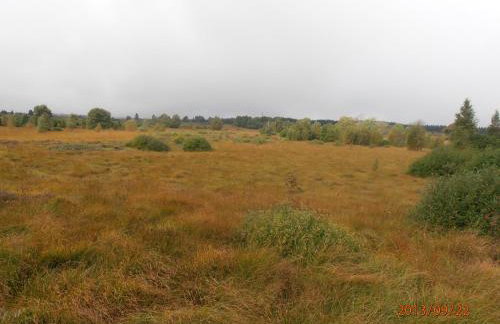 Ferienwohnung Peters - Foto 25