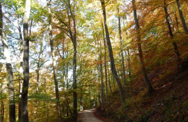 FREE Apartment - Bei den Thermen - Foto 78