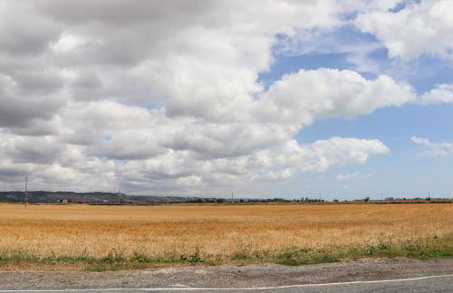 Baa Lamb Cottage - Photo 41