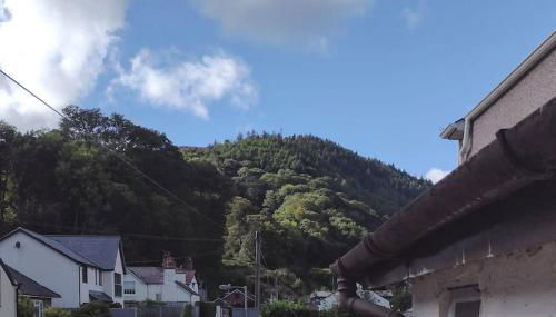 Castell Bach - Foto 5