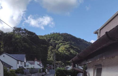 Castell Bach - Photo 5