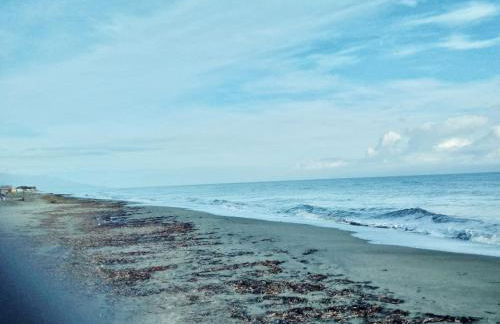 HAUT VILLA MESANGES EN BORD DE MER ! - Foto 70