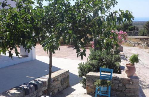 Eureka Kythira - Foto 34