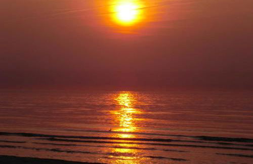 Ferienwohnungen Am Schwanenteich - Foto 1