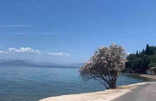 BugenVilla - South Corfu house - Foto 54