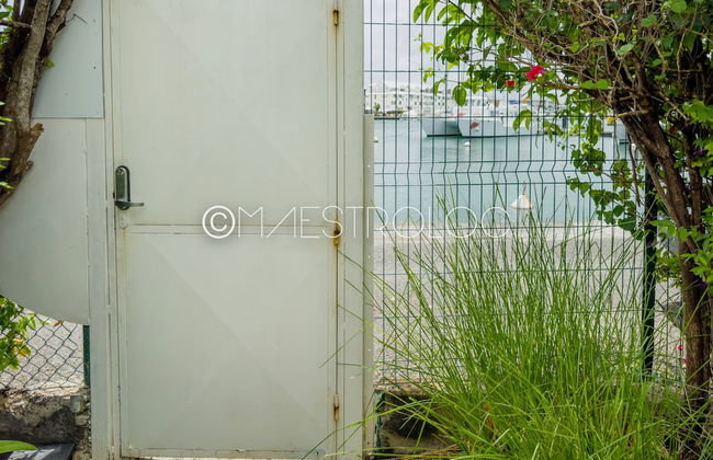 L'oasis du quai - Foto 18