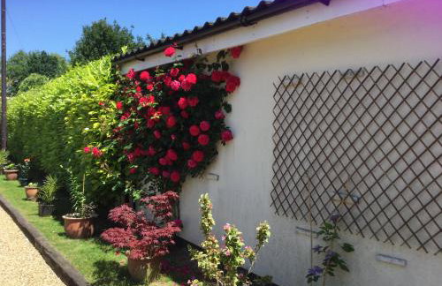 Eight ball house - Foto 1