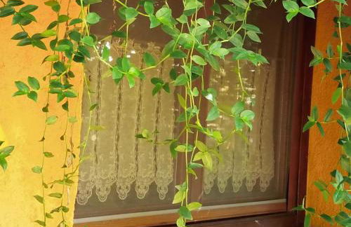 Apartamentos Rurales Ecopangea - Foto 15