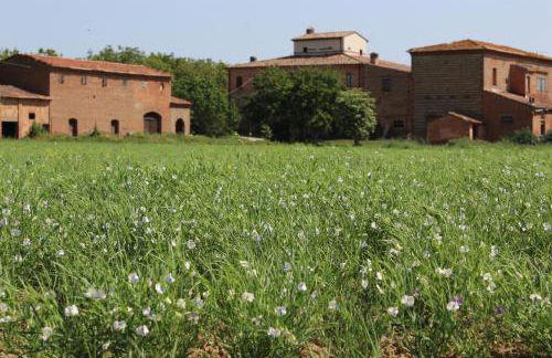 Agriturismo Podere Padolecchie - Azienda Agricola Passerini - Foto 13