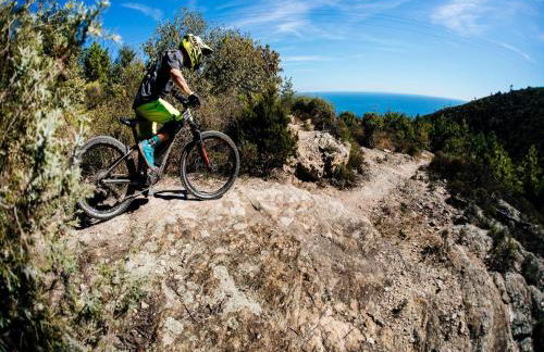 village holiday house with a pool - Photo 34