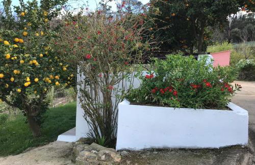 Casas Bemposta - Foto 54