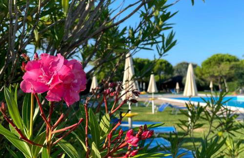 Calilla Home - appartamento Maestrale - Foto 1