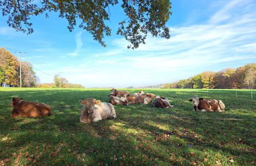 Steewer Landhaus gemütliche Ferienwohnung bis 6 Pers in ruhiger Ortsrandlage - Foto 40