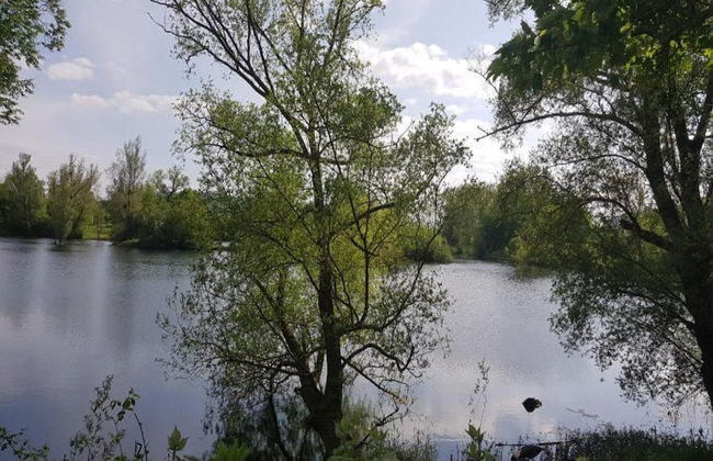 Wohnung in Hoxter Nahe Schloss Corvey - Foto 15