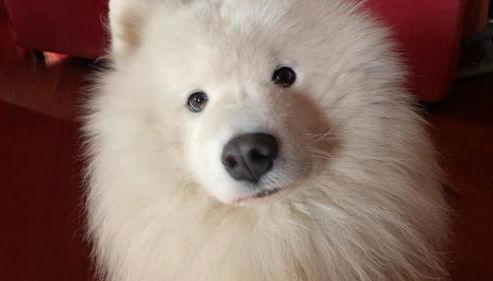 Casa Vacanza LA SCALETTA - Foto 5