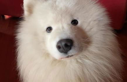 Casa Vacanza LA SCALETTA - Foto 5