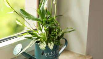 Agroturystyka Na poddaszu 22 - Foto 5