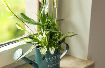 Agroturystyka Na poddaszu 22 - Foto 5