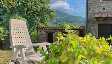 Borgo Petraio - Foto 4, Garden