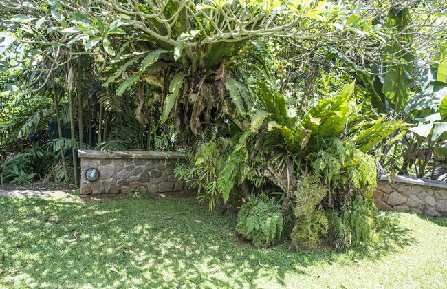 Anse Soleil Resort Self Catering - Photo 21