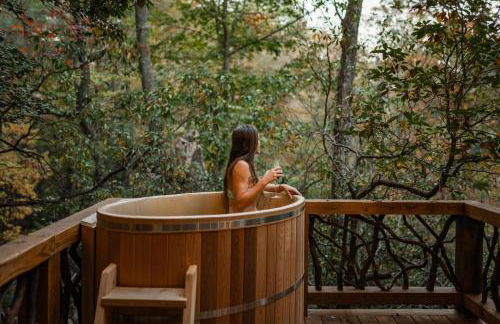 Log Cabin with Mountain View and Privacy - Foto 74