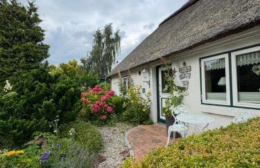 Emmis-Ferienhaus - Foto 28