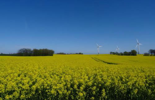 Ferienhaus Ferienhof Behnke - Foto 14