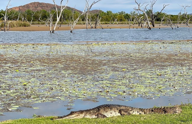 Kimberleyland Waterfront Holiday Park - Photo 76