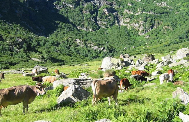 Agriturismo Alagna - Foto 9