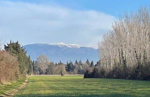 La Petite Rive - Les Oliviers - Foto 26