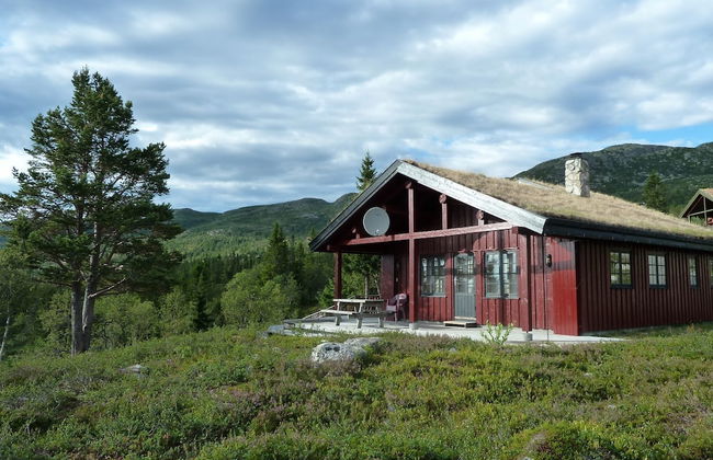 Furulie Cabin - Flå - Foto 20