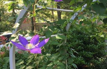 The Beach Gallery - Foto 15