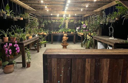 Do Sítio Tinoca - Foto 6