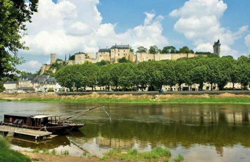 Gîtes du Moulin à Tan à Saché 37 - Photo 13