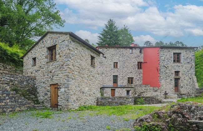 Ciliegiolo - Foto 25