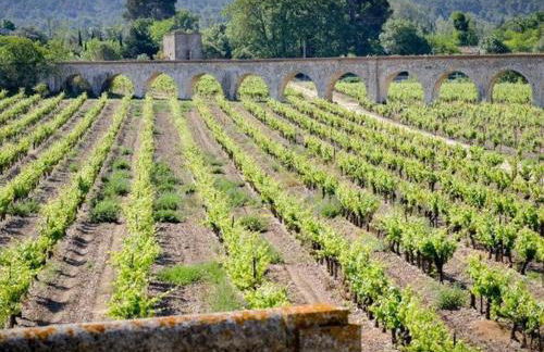 Apartment in Azille near Lac de Jouarres - Foto 9