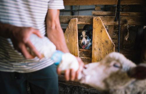 Agriturismo Podere il Fornacino - Foto 66