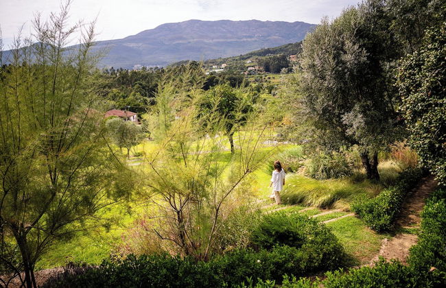 Vinte-Quinta da Boavista - Photo 63