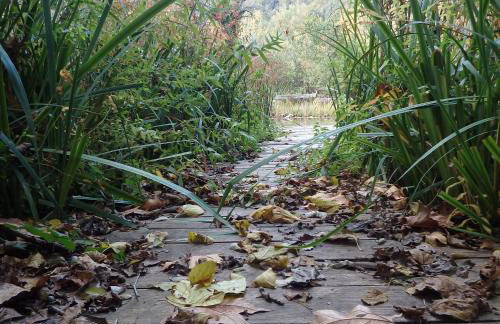 Masia Mas Franch - Foto 11