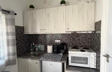 M & F HOUSE (παραλία Μαρκοπούλου Ωρωπού) - Foto 8