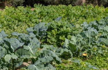 Agriturismo La Collina - Foto 54