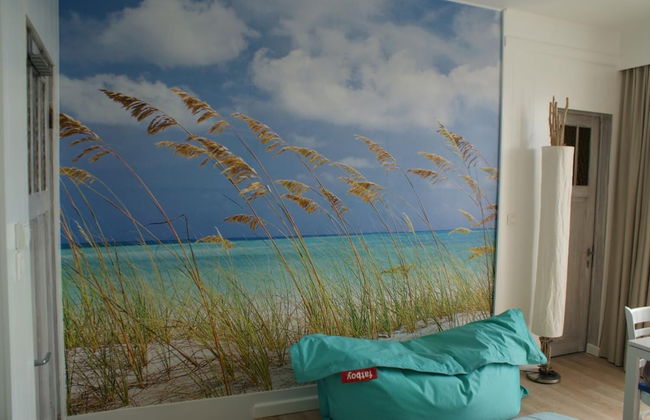 Studio Le Lavandou - Photo 16